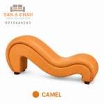 Camel